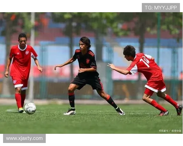 塞萨洛与本菲卡精彩对决视频回顾及赛后分析分享